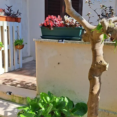 Velieri * Άντζιο
